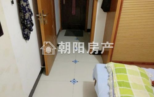 金丰易居好房出租，为您打造理想之家