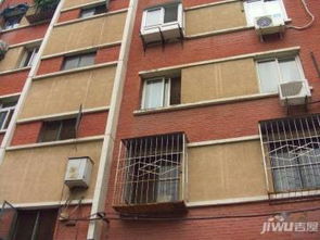 洛阳三乐食品厂家属院二手房源与租房信息全解析