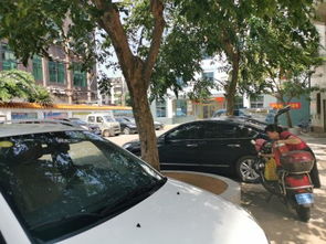 曙光工艺厂宿舍居住体验与周边租赁市场观察