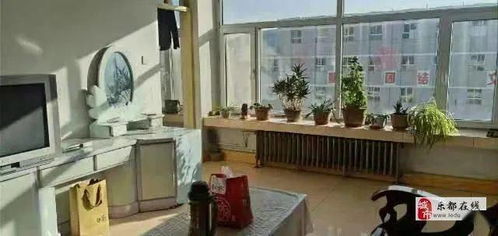 乐都1月6日精品房源速递 精选住房出租，不容错过！